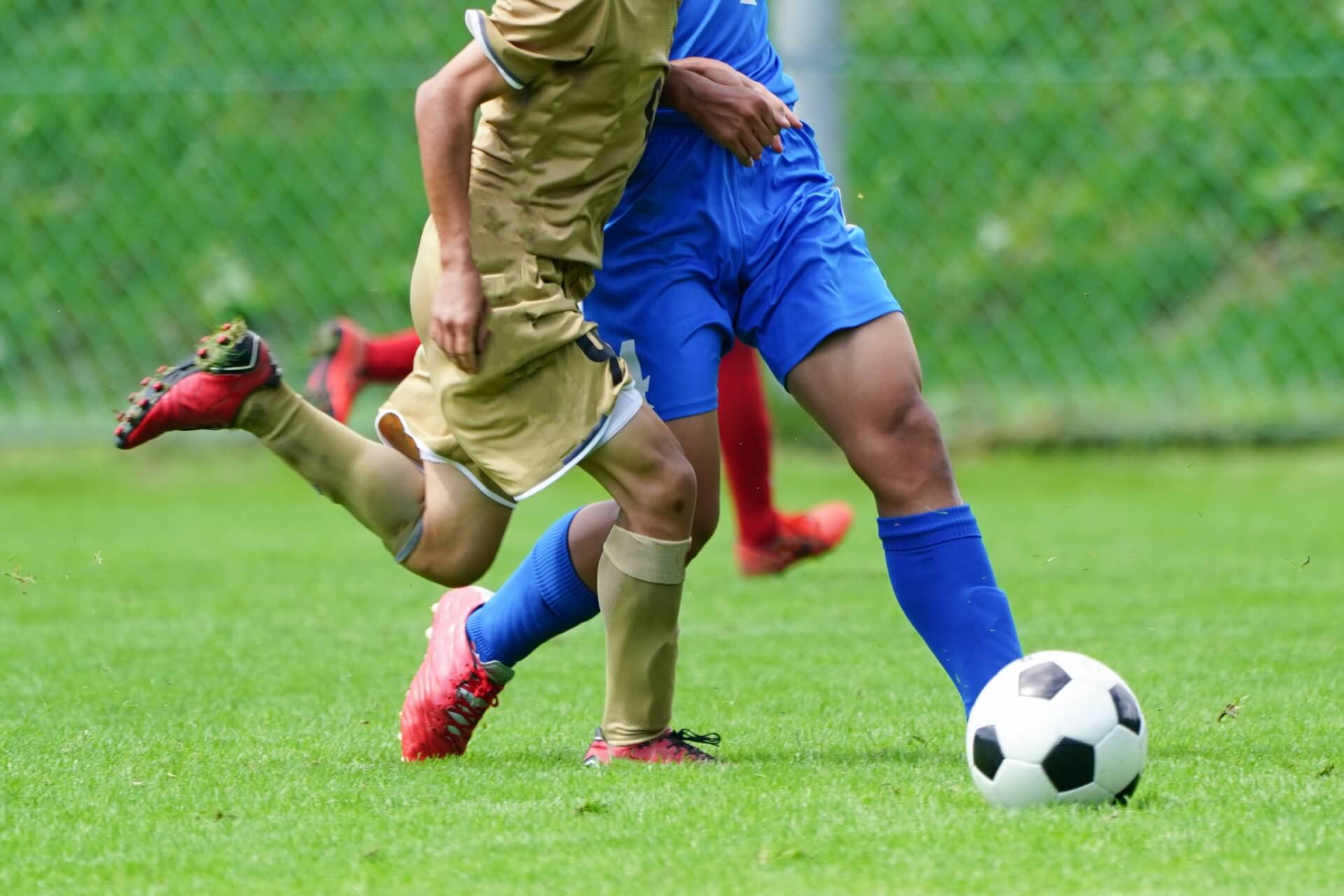 芝生の上でサッカーをプレーする人たち